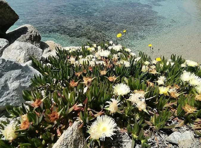 Daire Opis Ornos (Mykonos)