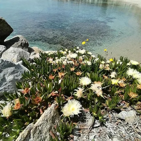 Lejlighed Opis Ornos (Mykonos)